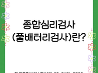 종합심리검사(풀배..