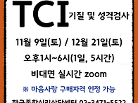 2024년 TCI 기질..