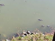 2026.04.07.화ㅡ종일ㆍ학교..