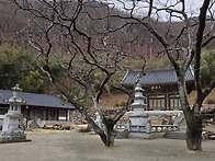 노전암