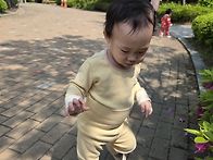 윙윙~~아기꿀벌들