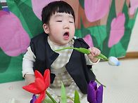 네덜란드로 여행 왔어요