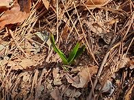 합천 쌍책 덕곡