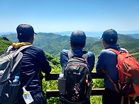 Re: 26/05/10 제암산 탐..
