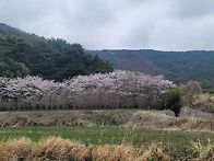 (경남고성부동산/고려부동산)사천시 사남면..
