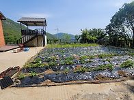 (경남고성부동산)대가면/ 산자락과맞닿은,..