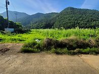 (경남고성부동산)대가면/ 산자락아래 토지,..