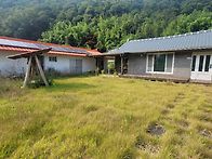 (경남고성부동산)상리면/ 잔디마당과 편백으..