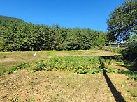 (경남고성토지)/ 2차선접,건축가능한 다용..