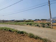 (경남고성부동산/고려공인중개사사무소/거류..