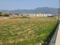 (경남고성부동산/고려공인중개사사무소/거류..