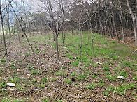 (경남고성부동산/고려부동산)사천시 사남면..