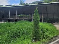 (경남고성 고려부동산)/영현면/ 조용한시골..