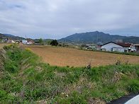 (경남고성부동산/고려부동산)거류면/ 계획관..
