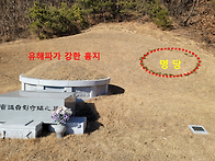 대 명당으로 칭하는 유승민..