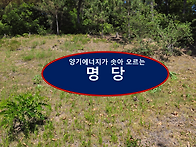 더불어 민주당 대구시장 ..