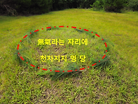 무기자리에 명당이 보인다..