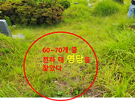 부산 대정 공원묘원