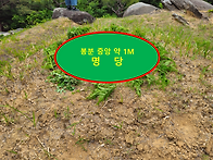 무기라고 하는 자리에 명당..