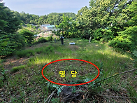삼성가의 풍수인 하남 장용..