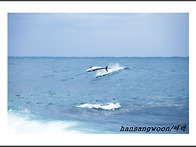 제주도 2