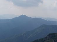 장산을 아시나요~?