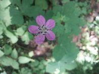 영월~선바위산 해발. 10..