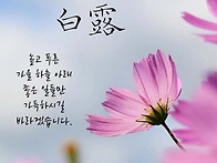 발에는 신발이 편하듯 나이 들어서 친구도 ..