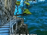 오늘이 입추(立秋)입니다. 쬐금만 참읍시다..