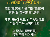 발에는 신발이 편하듯 나이 들어서 친구도 ..