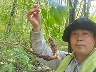 심산행1