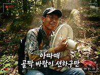 26년 마지막 산삼산행