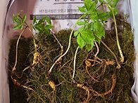 25년 심산행