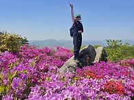 백양산 철쭉