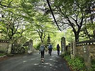 창립 기념산행 (..
