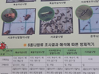 성 페로몬 예찰트랩설치