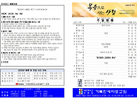 20250504 교회주보