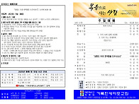 20250525 교회주보