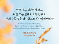 [빌립보서 4장 6절] #말..