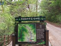 5월 초록의 항골계곡길 걷..