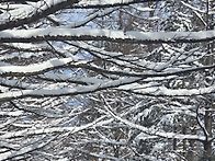 흰눈 푹푹 밟으며 행복체험..