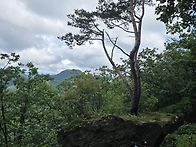 왕방산