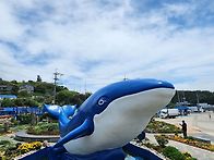 흑산도2