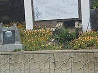 흑산도 홍도 여행