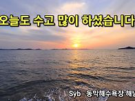 일산 중산동 맛집 일산명태..
