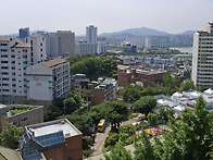 동네 한 바퀴 250521
