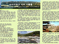 바위타령과 바위 이름들