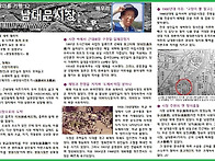 남대문시장 (천지일보 32..