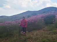 황매산정기산행