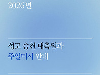 올해 성모 승천 대축일, ..